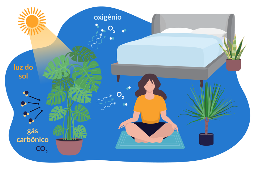 Ilustração de plantas no quarto, a receber gás carbônico e luz do sol, e produzir oxigênio